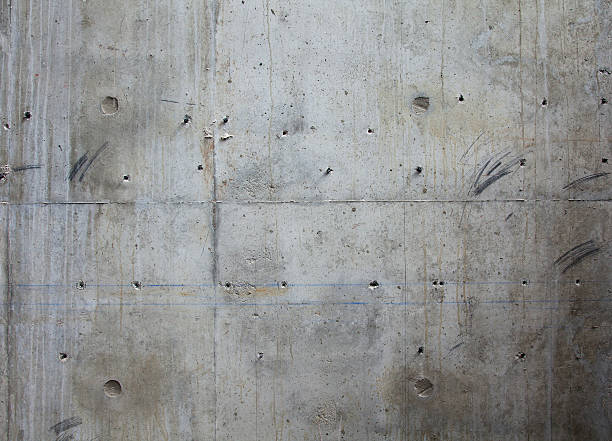 Best Waterproofing & Drywells  in Roseland, NJ
